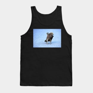 Nouvelle Zélande -  Milford Sound, perroquet kea Tank Top